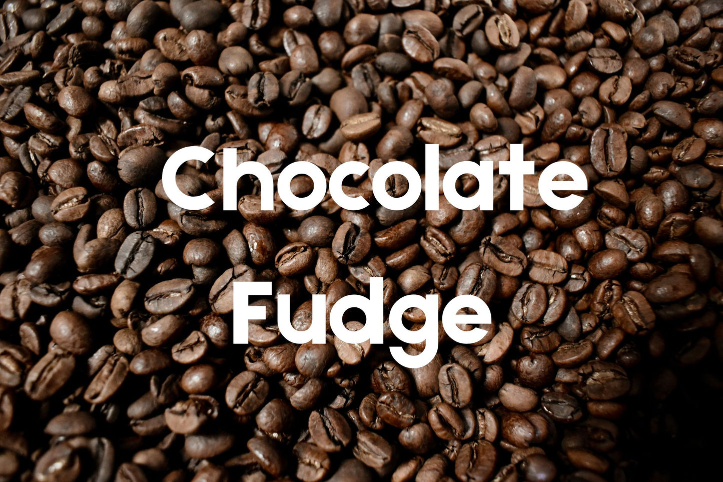 Chocolate Fudge