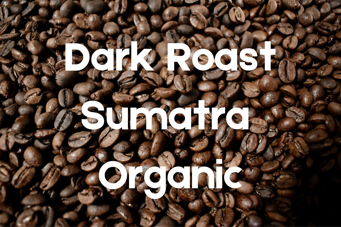 Dark Roast Organic Sumatra