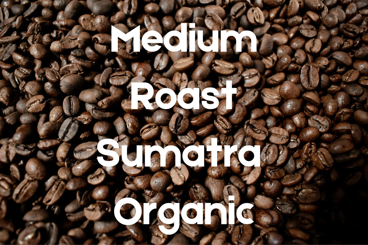 Medium Roast Sumatra Organic