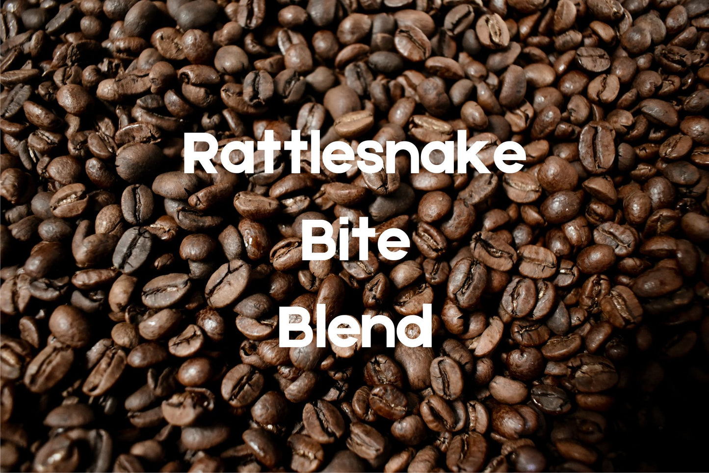 Rattlesnake Bite