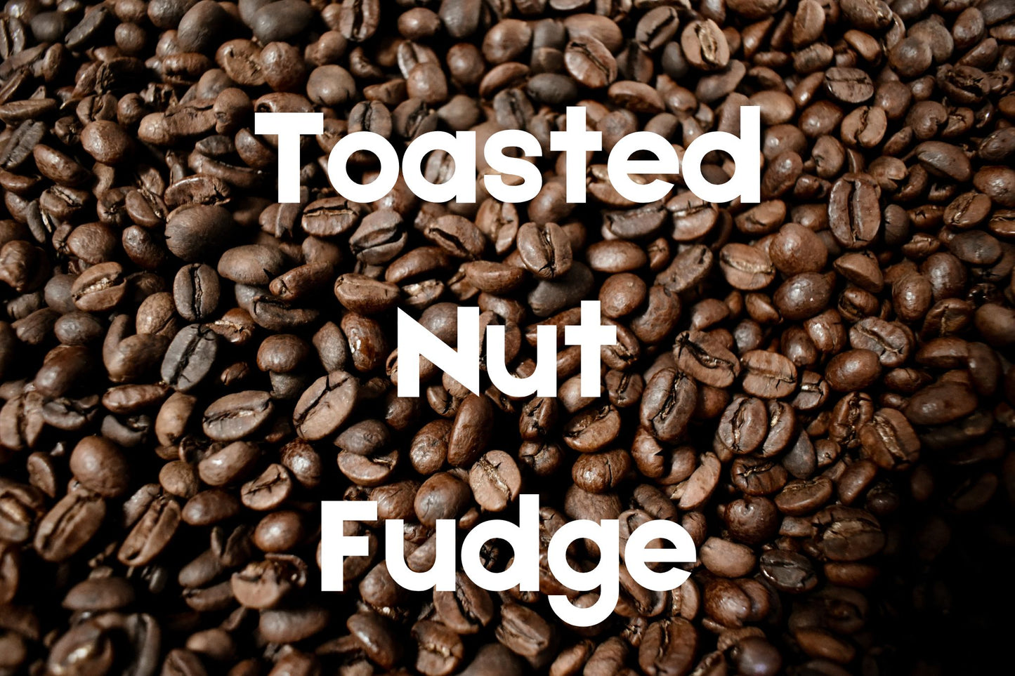 Toasted Nut Fudge