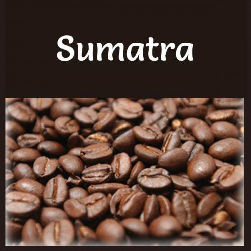 Organic Sumatra - Medium Roast